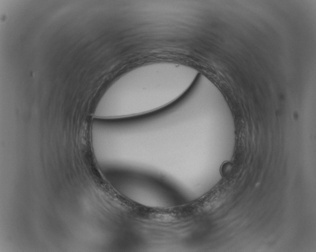 X0000062910649200601181220