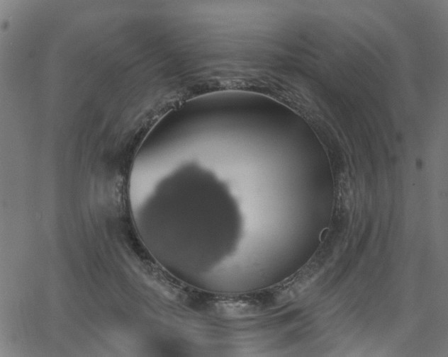 X0000062910650200601181220