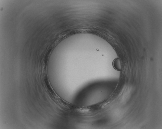 X0000062910651200601181220