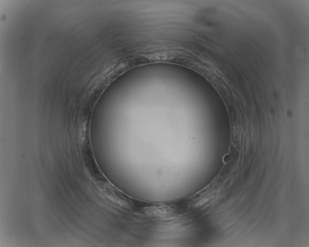 X0000062910652200601181220