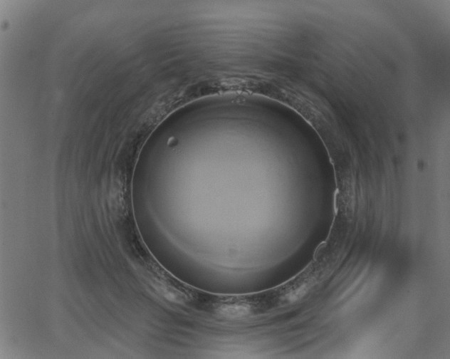 X0000062910653200601181220