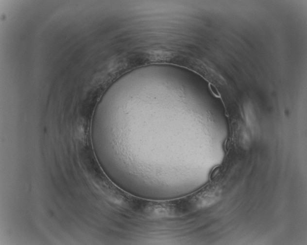 X0000062910655200601181220