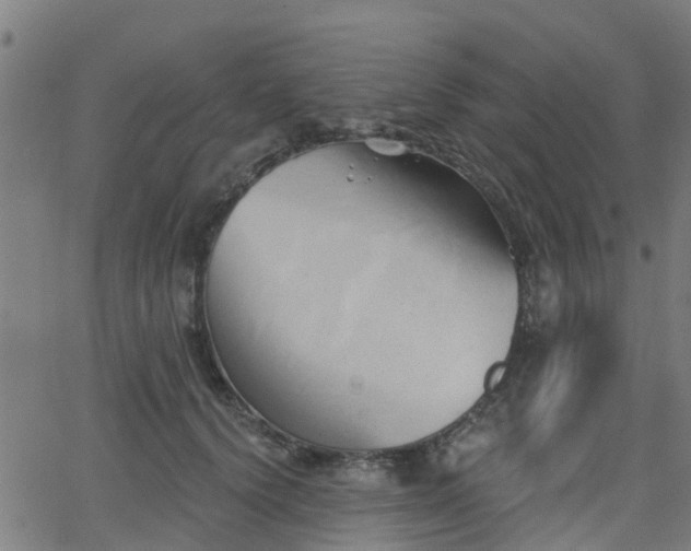 X0000062910656200601181220