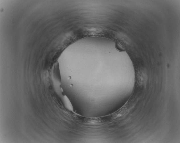 X0000062910657200601181220