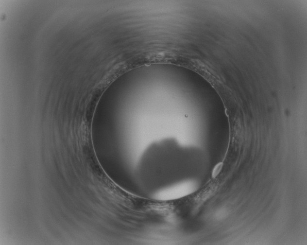 X0000062910659200601181220