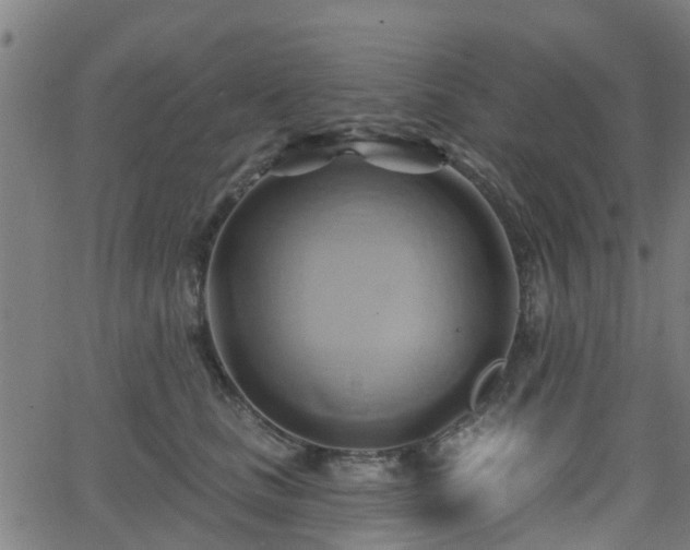 X0000062910661200601181221