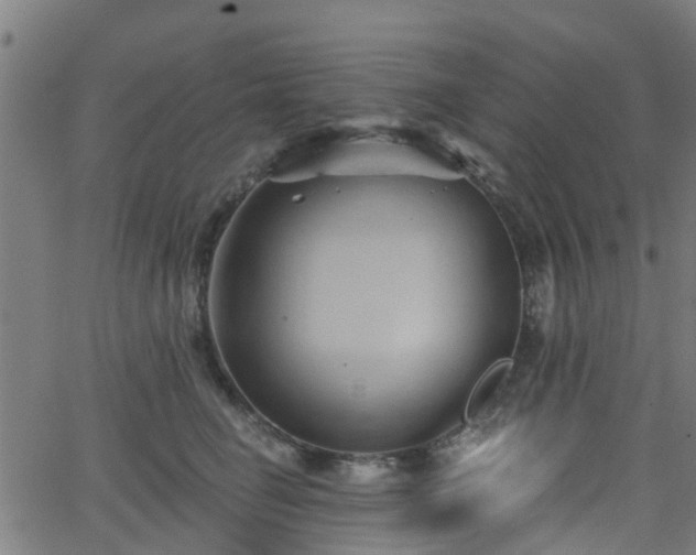 X0000062910662200601181221