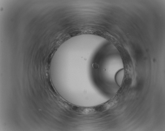 X0000062910663200601181221