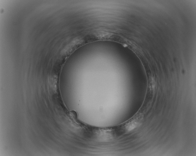 X0000062910664200601181221