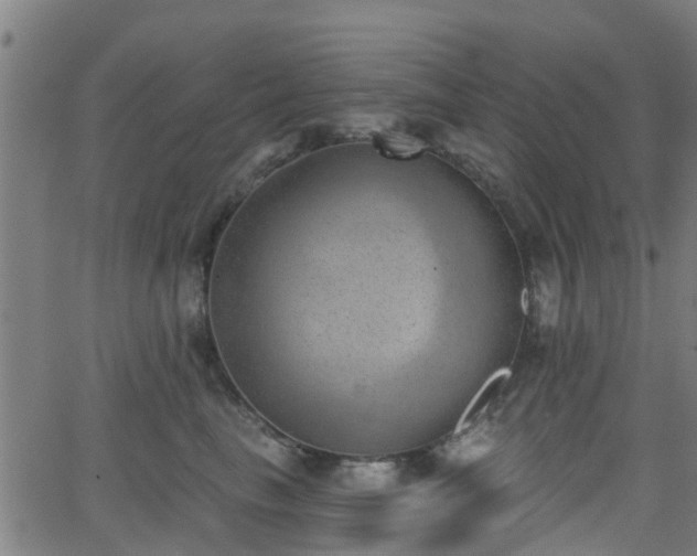 X0000062910665200601181221