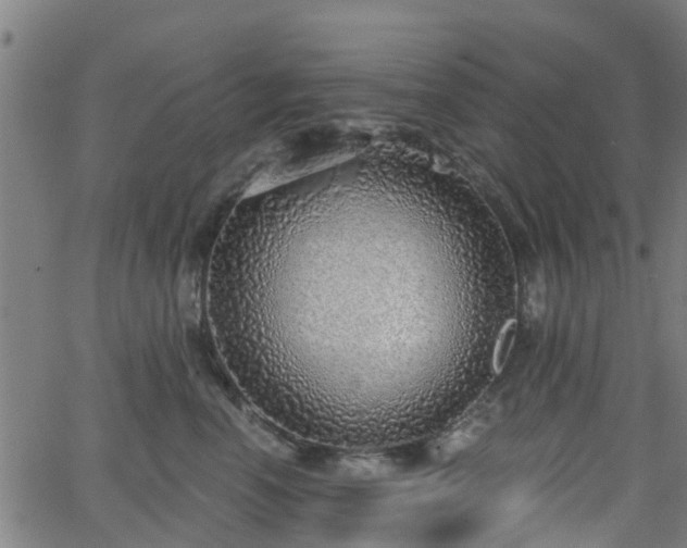 X0000062910666200601181221