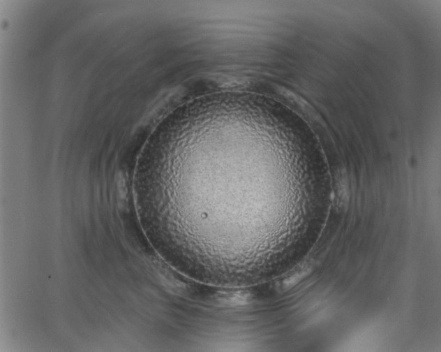 X0000062910667200601181221