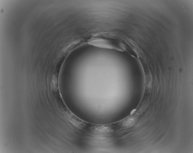 X0000062910669200601181221