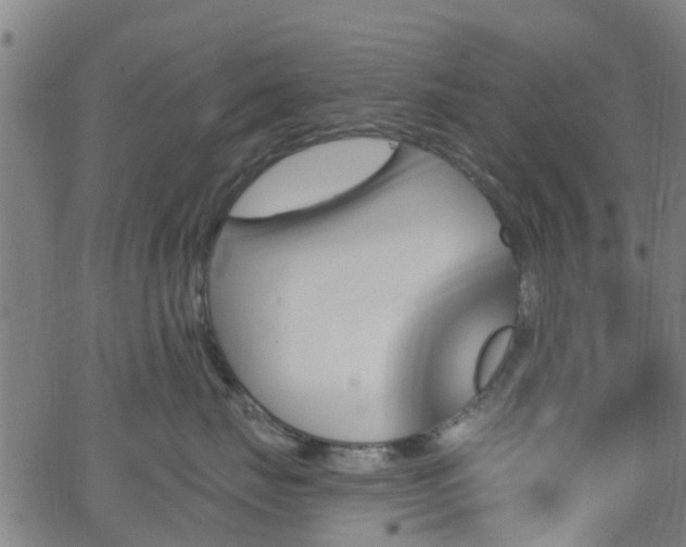 X0000062910671200601181221