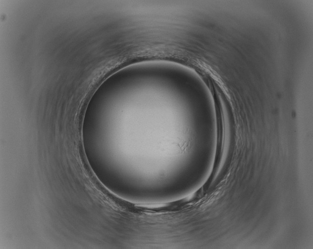 X0000062910673200601181220