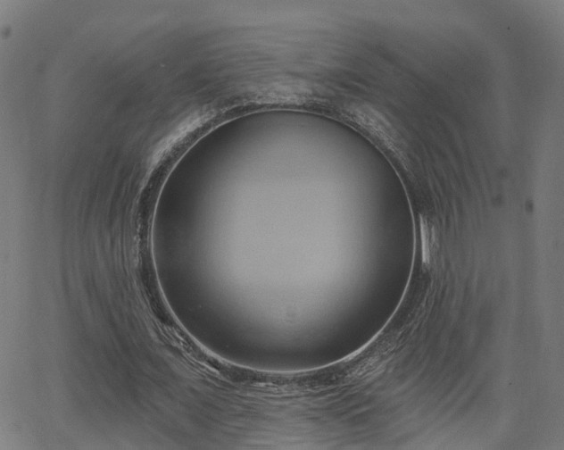 X0000062910675200601181220