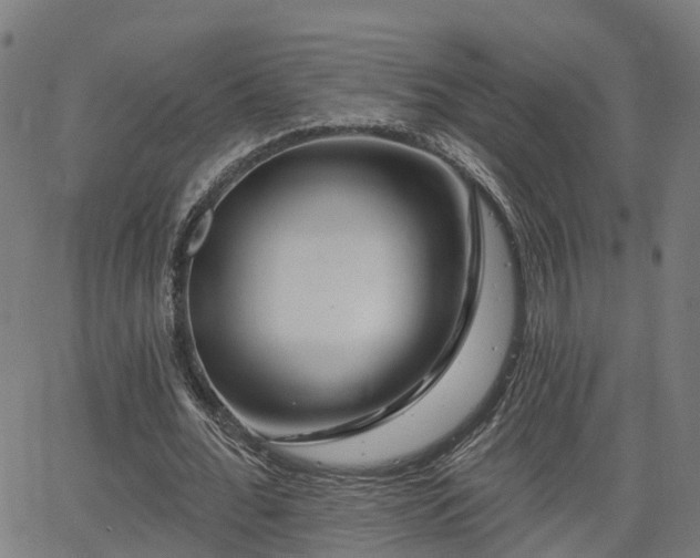 X0000062910676200601181220