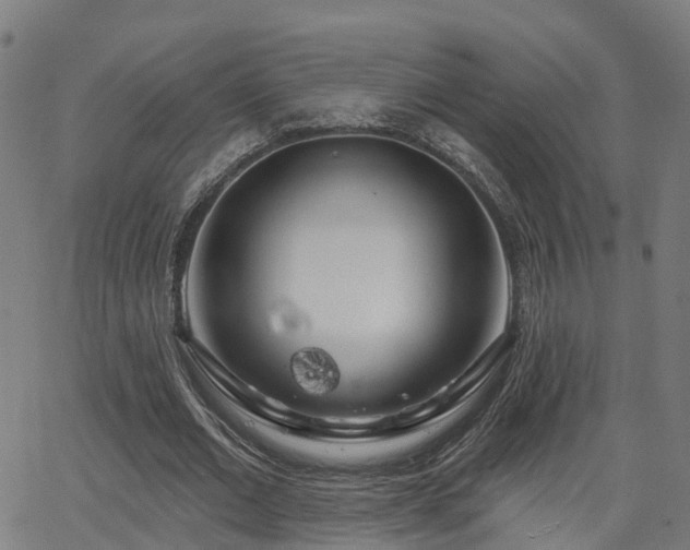 X0000062910677200601181220