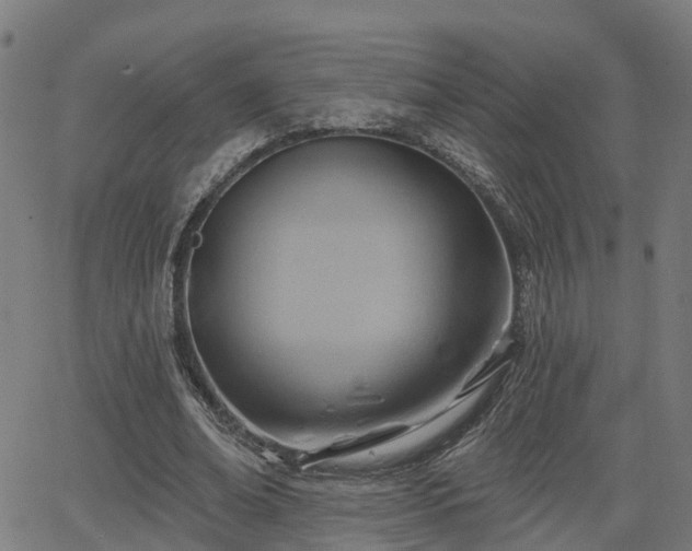 X0000062910678200601181220