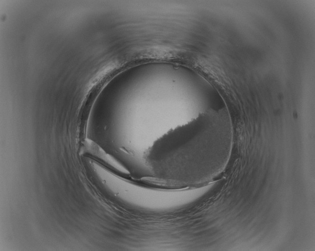 X0000062910679200601181220