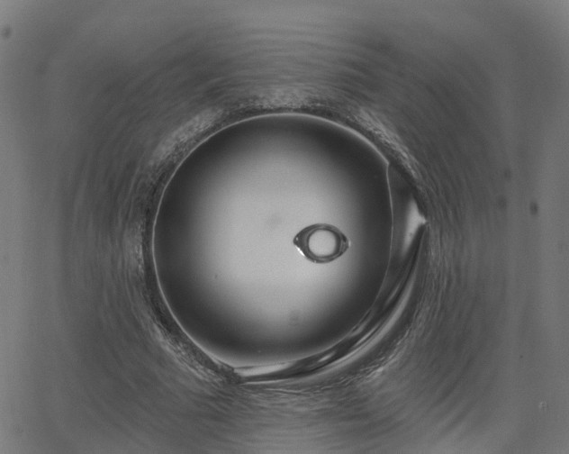 X0000062910681200601181220