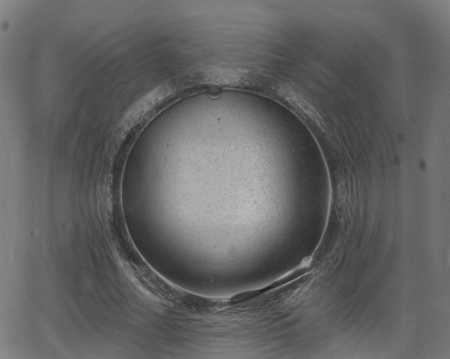 X0000062910682200601181220