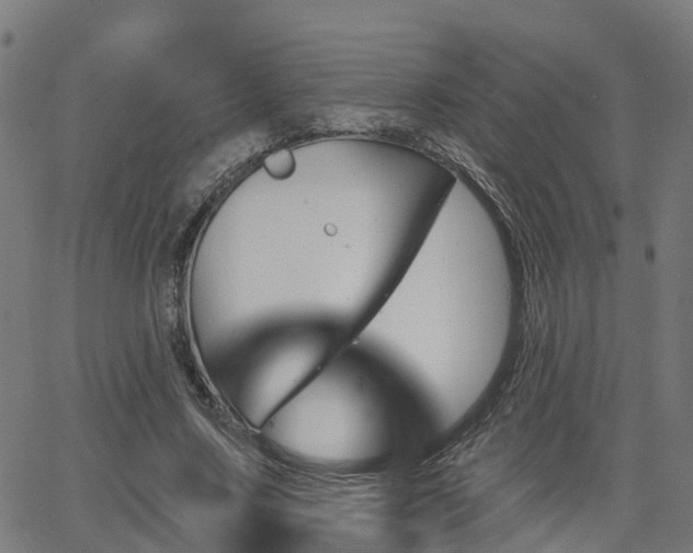 X0000062910683200601181220