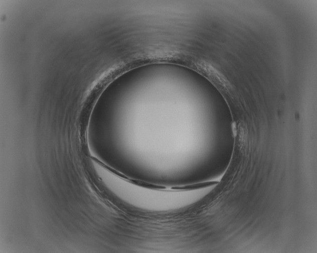 X0000062910684200601181220