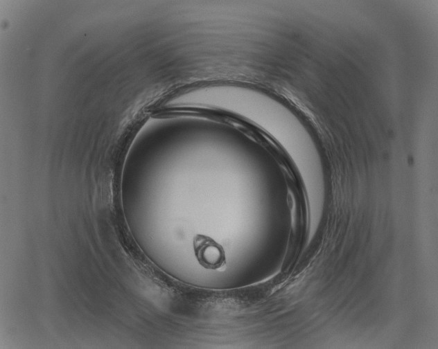 X0000062910685200601181220