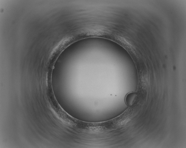 X0000062910686200601181220