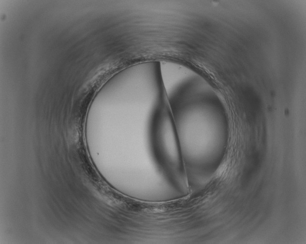 X0000062910687200601181220