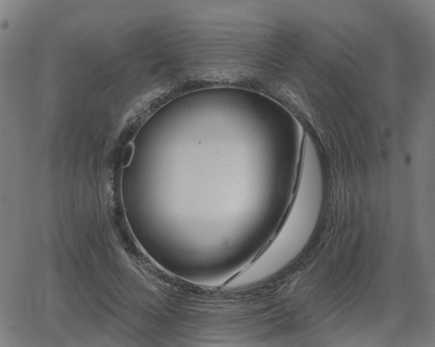 X0000062910688200601181220