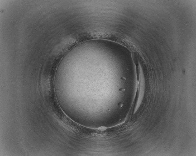 X0000062910690200601181220