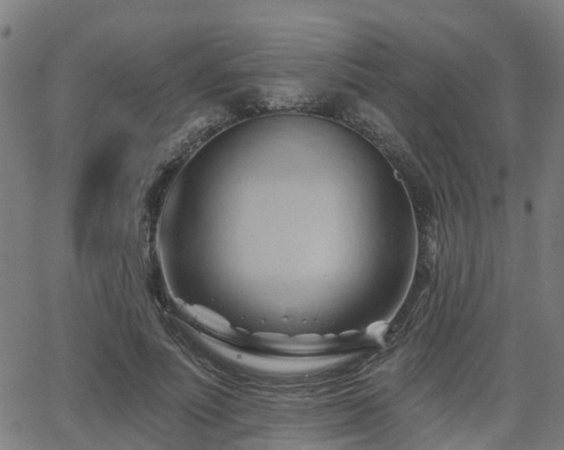 X0000062910691200601181220