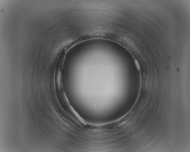 X0000062910692200601181220