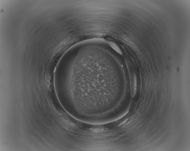 X0000062910693200601181220