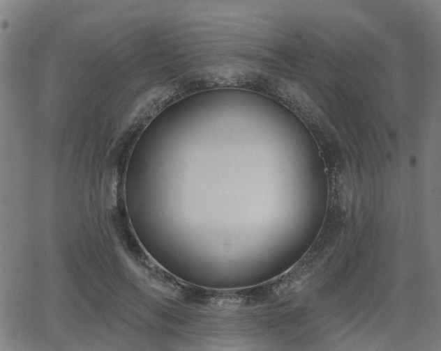 X0000062910694200601181220