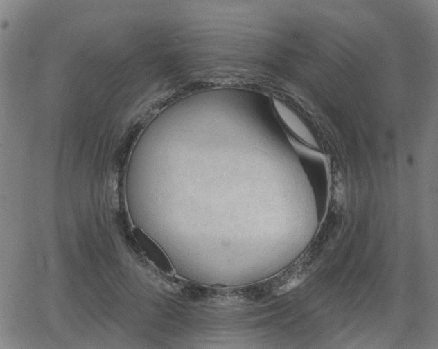 X0000062910696200601181220