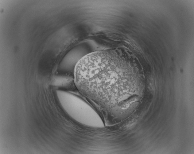 X0000062910697200601181219