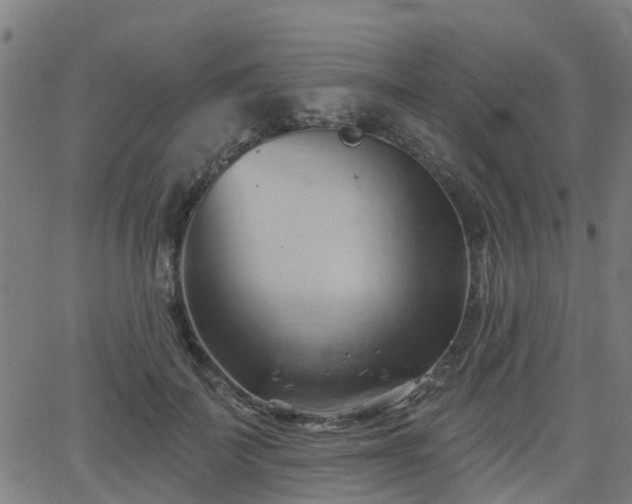 X0000062910699200601181219