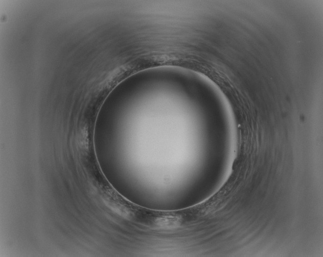 X0000062910700200601181219