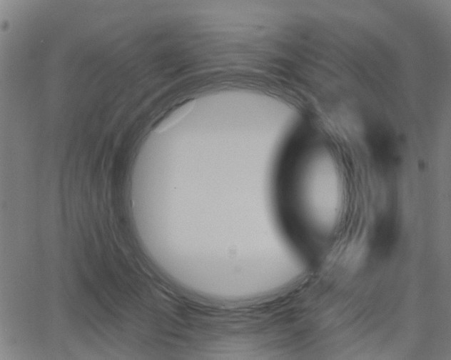 X0000062910701200601181219