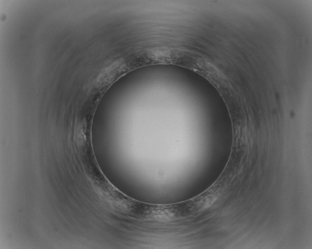 X0000062910702200601181219