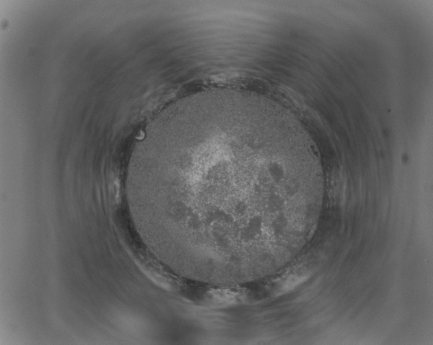 X0000062910703200601181219