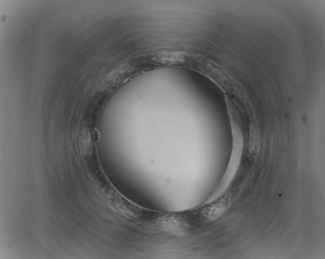 X0000062910704200601181219