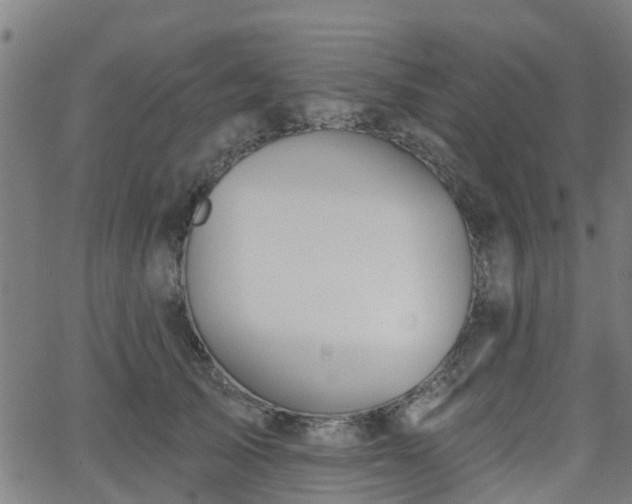 X0000062910705200601181219