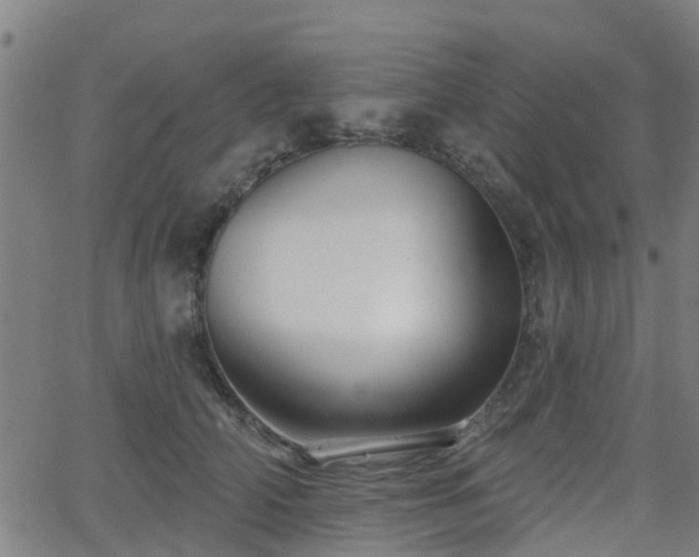 X0000062910706200601181219