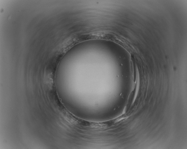 X0000062910707200601181219