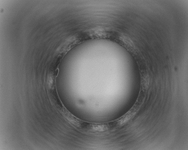 X0000062910709200601181219