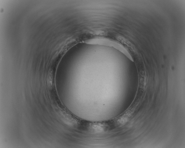 X0000062910710200601181219